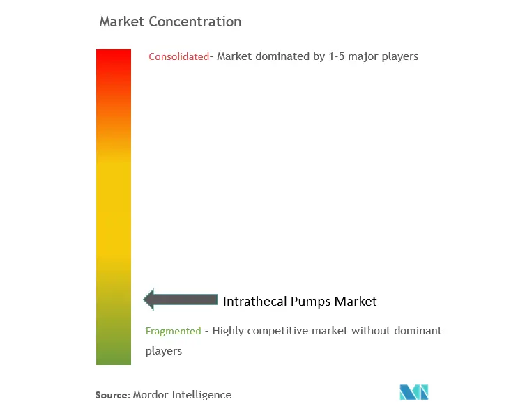 Intrathecal Pumps Market Concentration