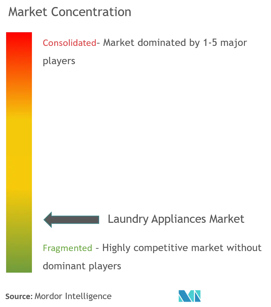 Laundry Appliances Market Concentration