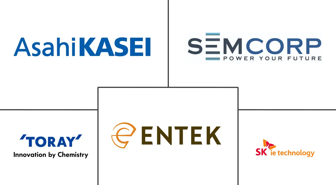 Major players in Lithium-ion Battery Separator Market For Electric Vehicle Application industry