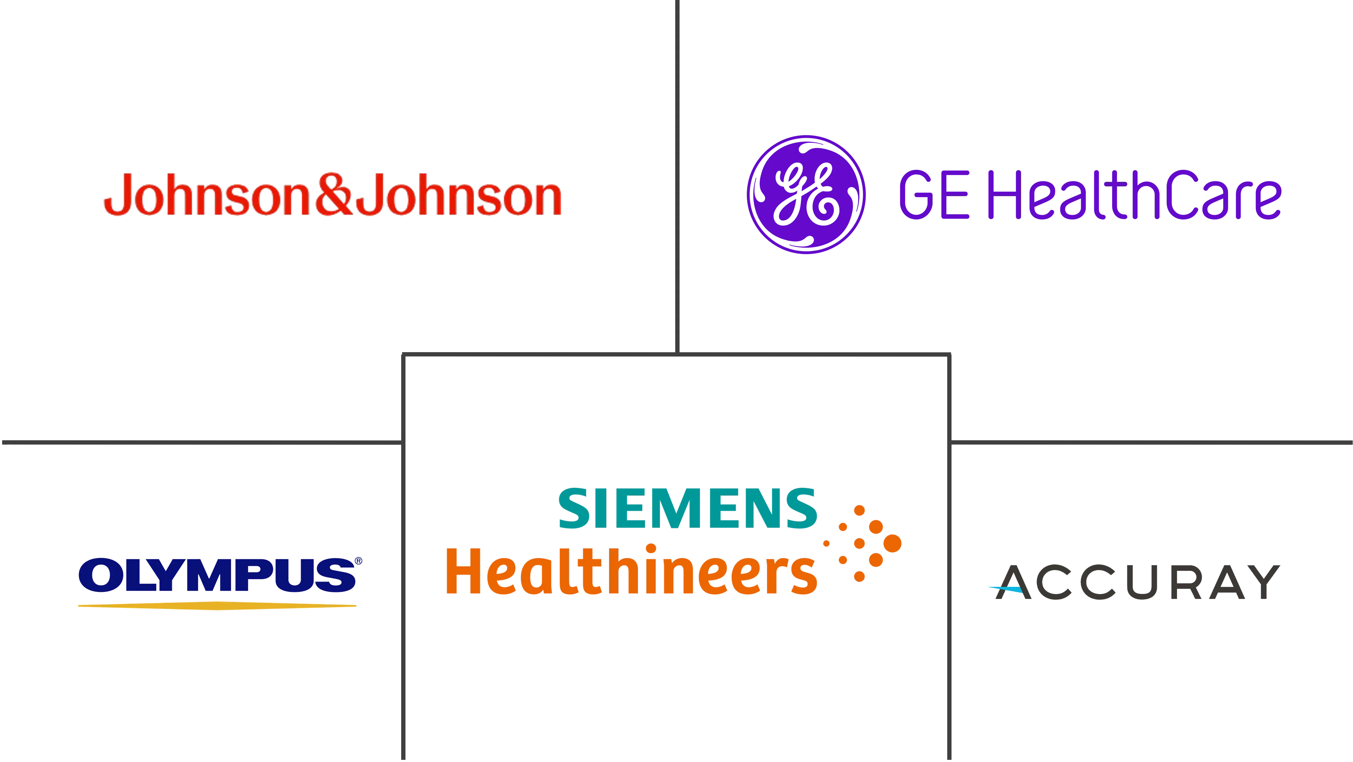 Major players in Lung Cancer Surgery industry