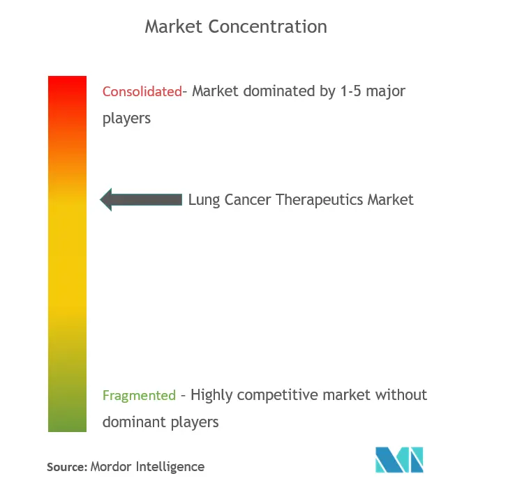 Lung Cancer Therapeutics Market Concentration