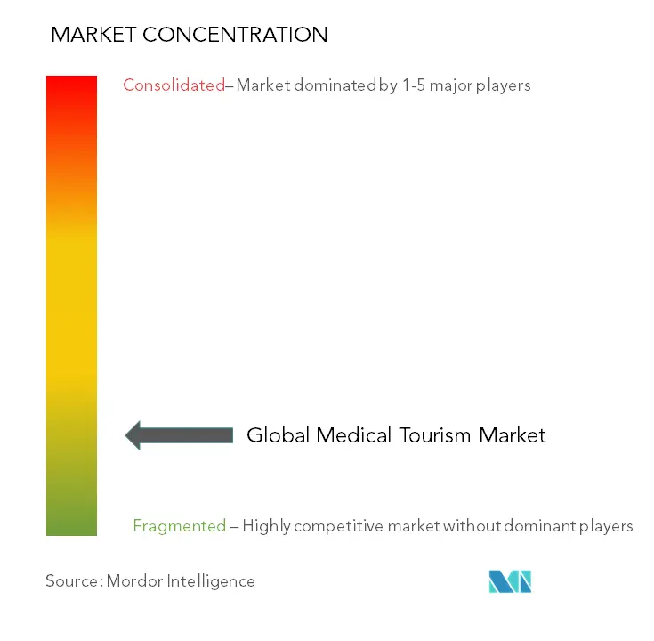 Medical Tourism Market Concentration