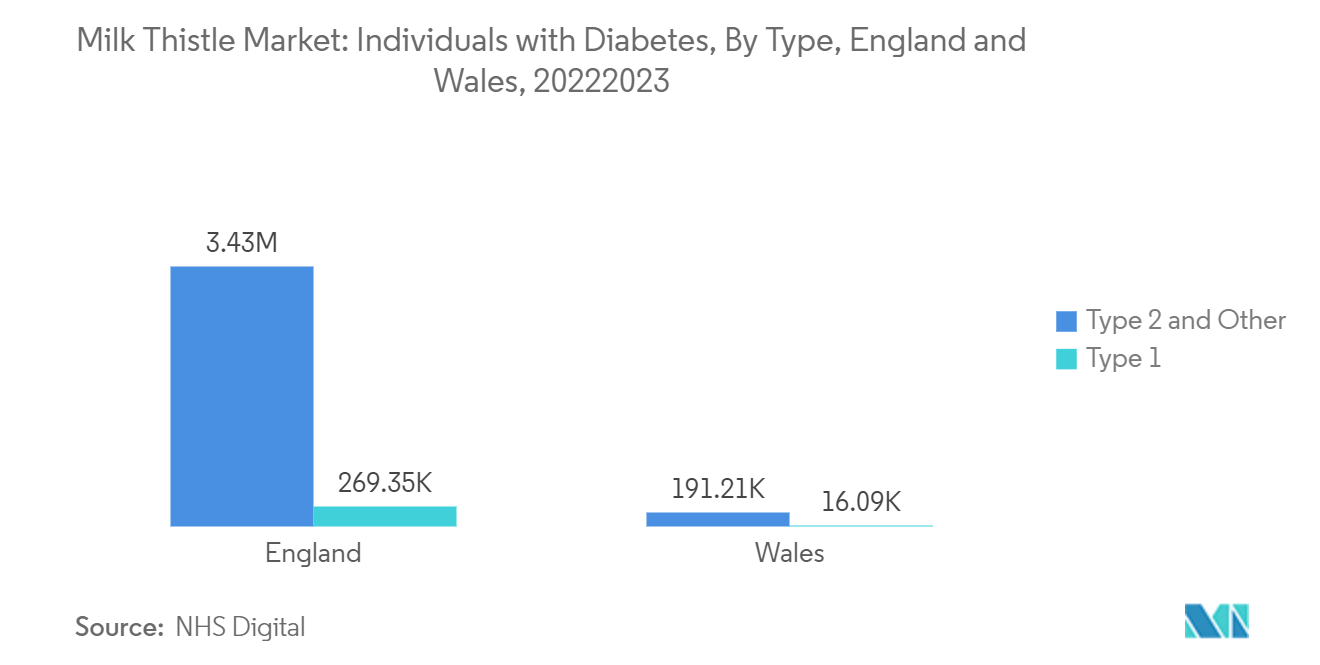 Milk Thistle Market: Individuals with Diabetes, By Type, England and Wales, 2022/2023