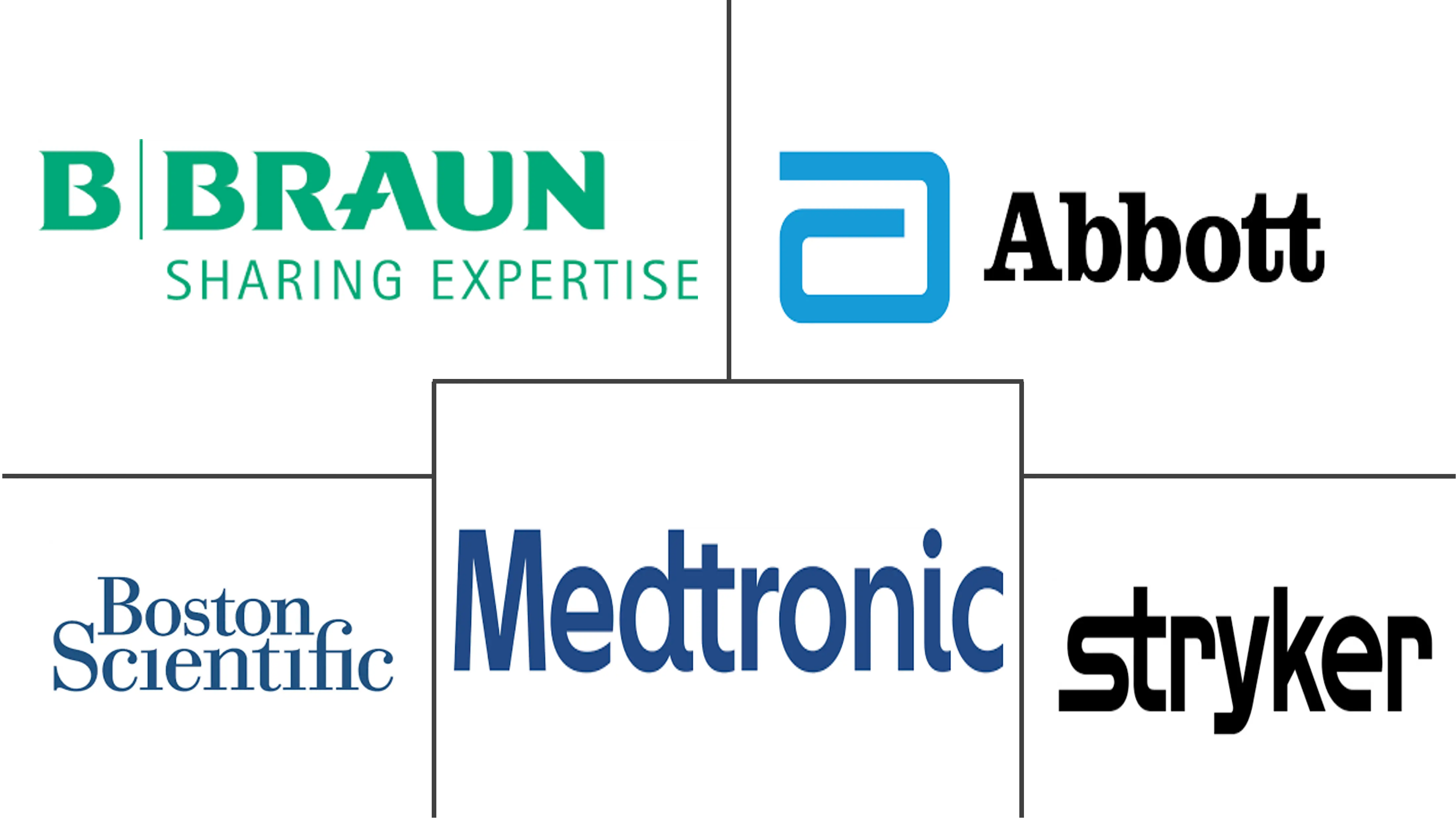 Major players in Neurology Devices industry