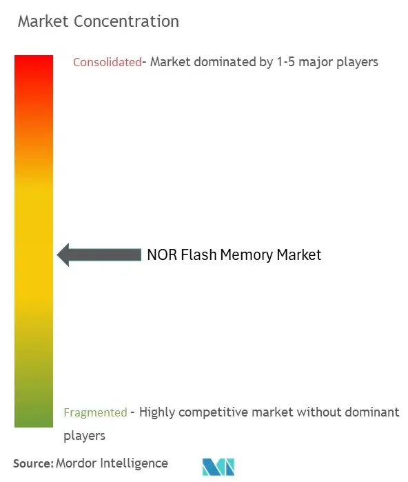 NOR Flash Memory Market Concentration