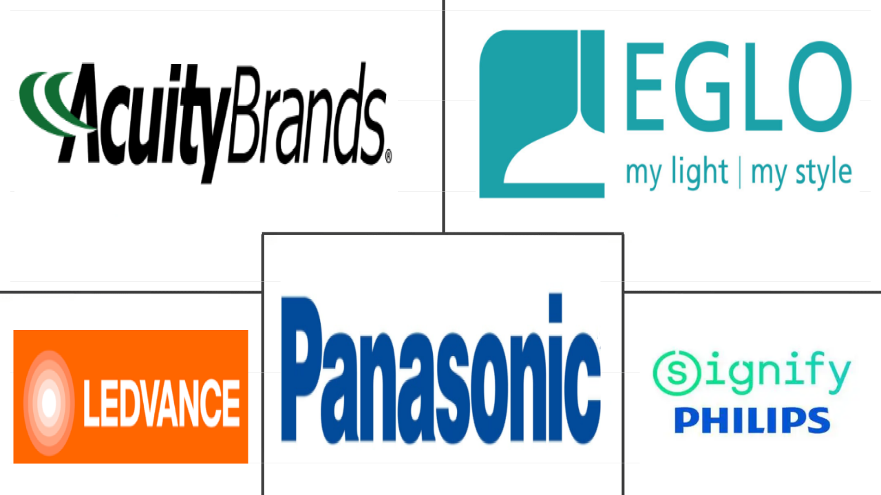 Major players in Outdoor LED Lighting industry