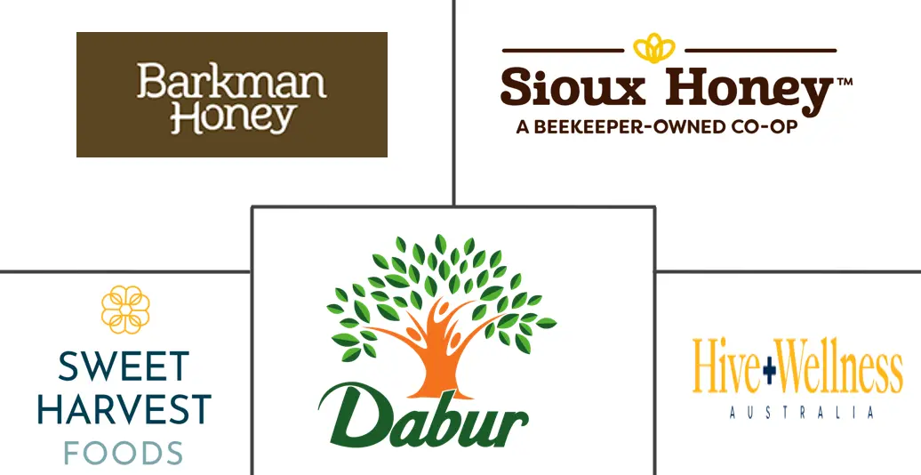 Major players in Packaged Honey industry