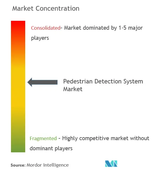 Global Pedestrian Detection Systems Market Concentration