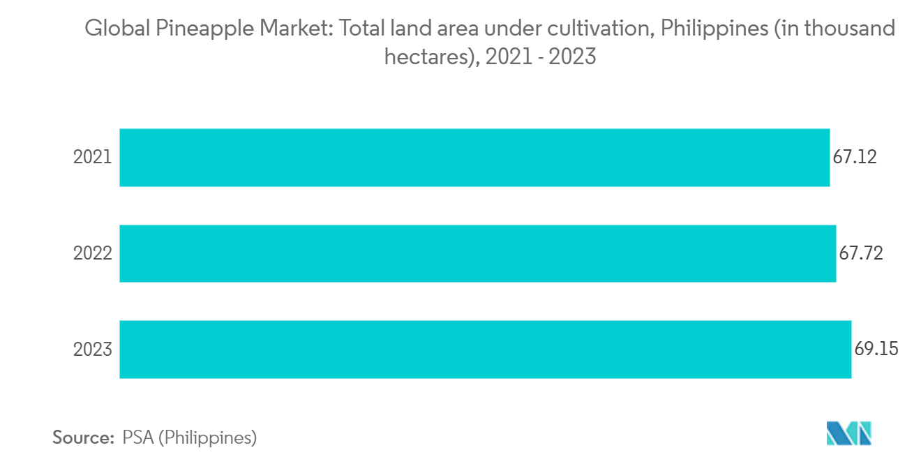 Global Pineapple Market: Total land area under cultivation, Philippines (in thousand hectares)