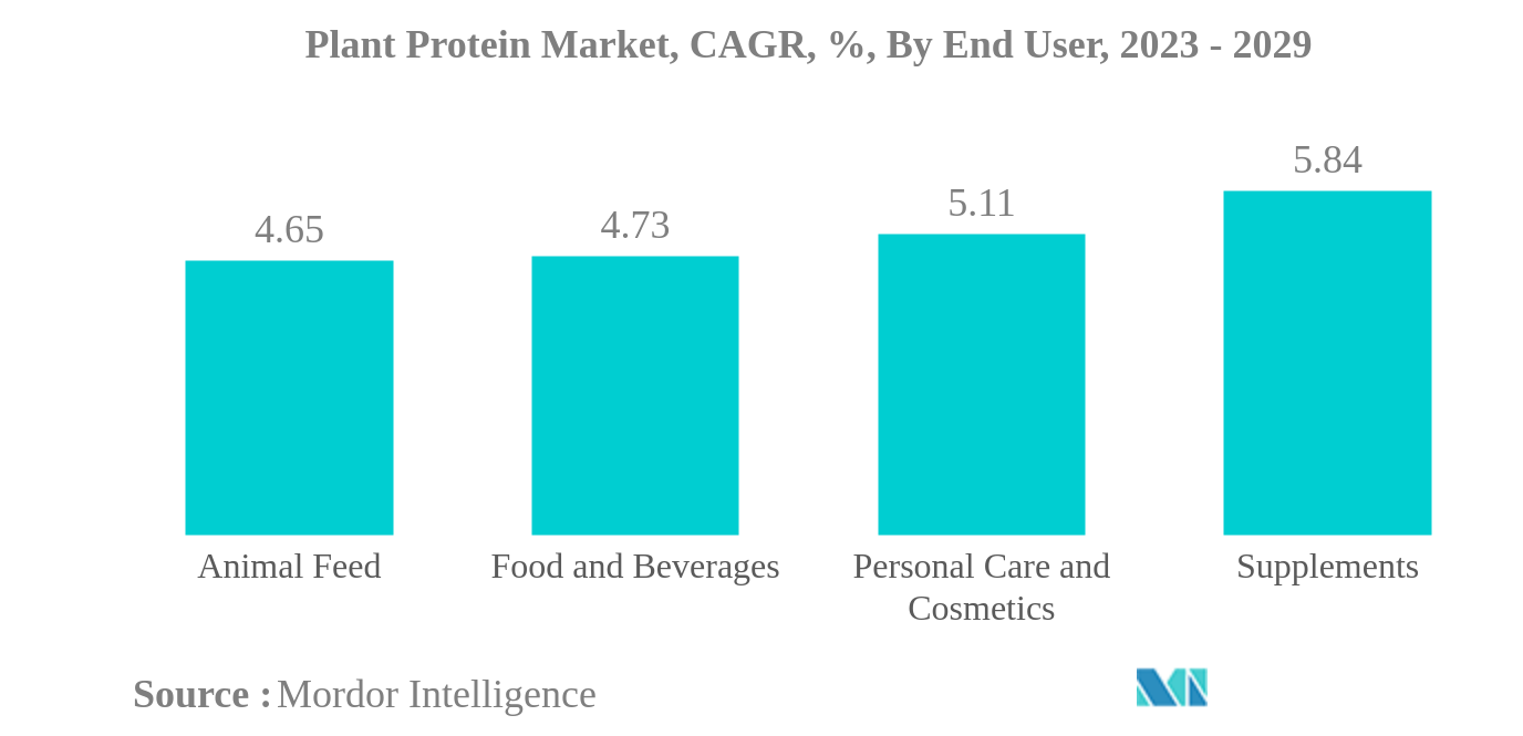 Plant Protein Market: Plant Protein Market, CAGR, %, By End User, 2023 - 2029