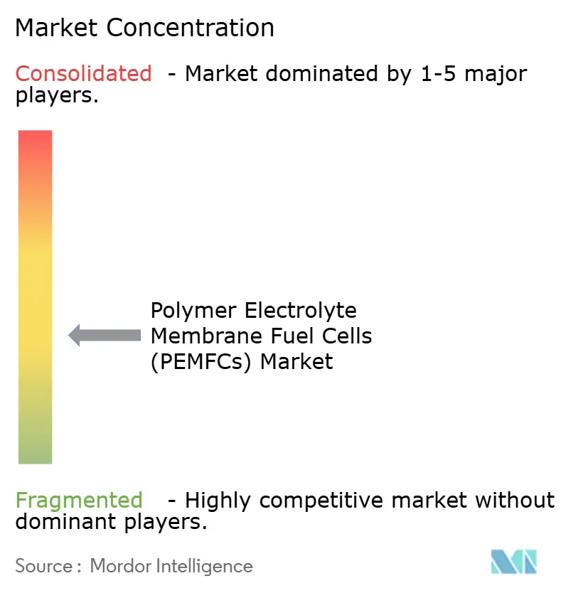 Polymer Electrolyte Membrane Fuel Cells (PEMFCs) Market Concentration