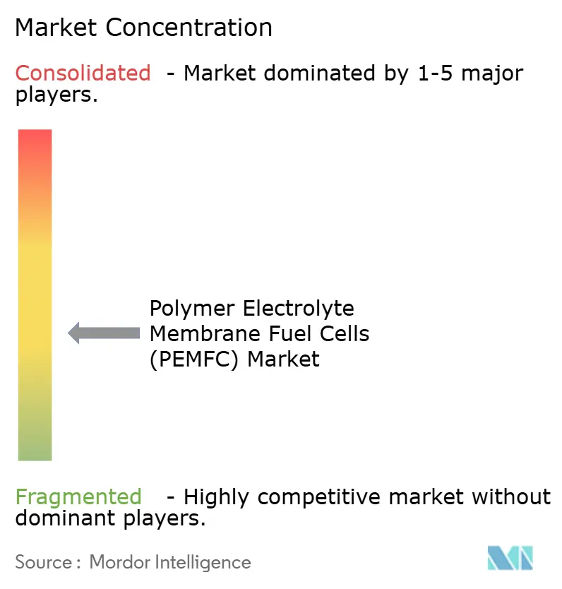 Polymer Electrolyte Membrane Fuel Cells (PEMFCs) Market Concentration