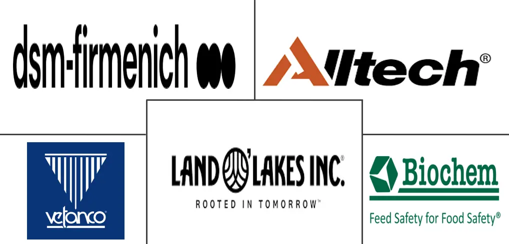 Related Companies Logo