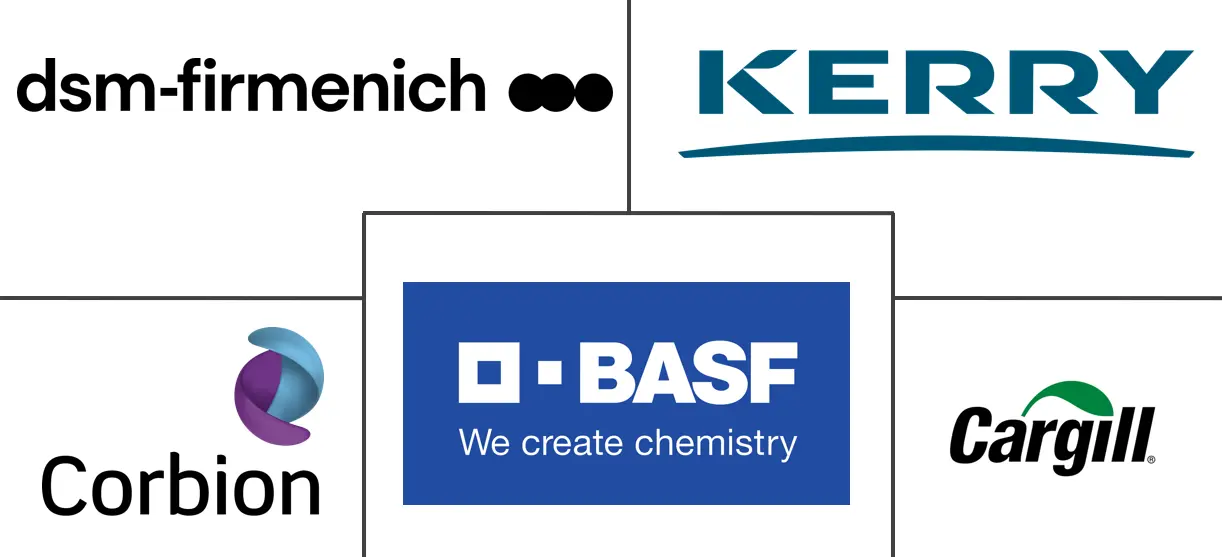 Major players in Preservatives industry