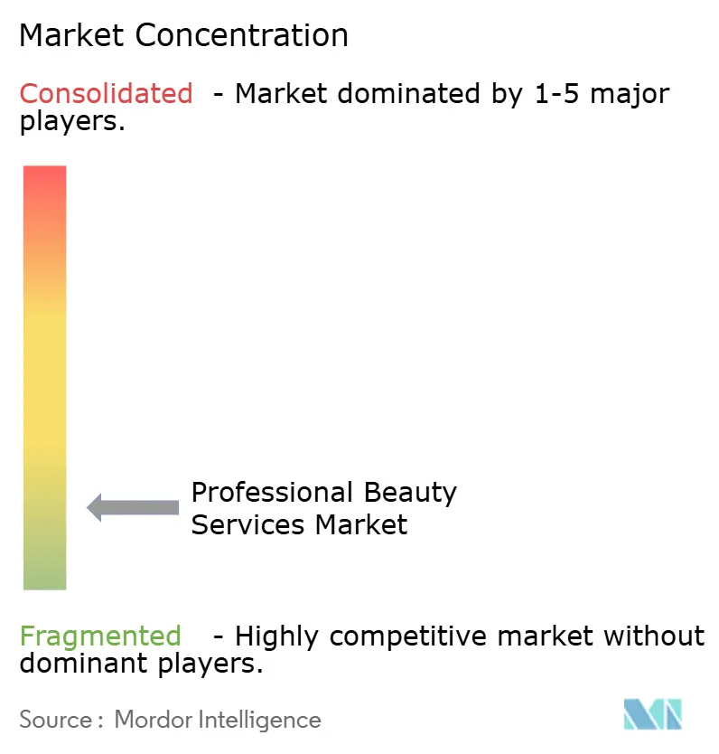 Professional Beauty Services Market Concentration