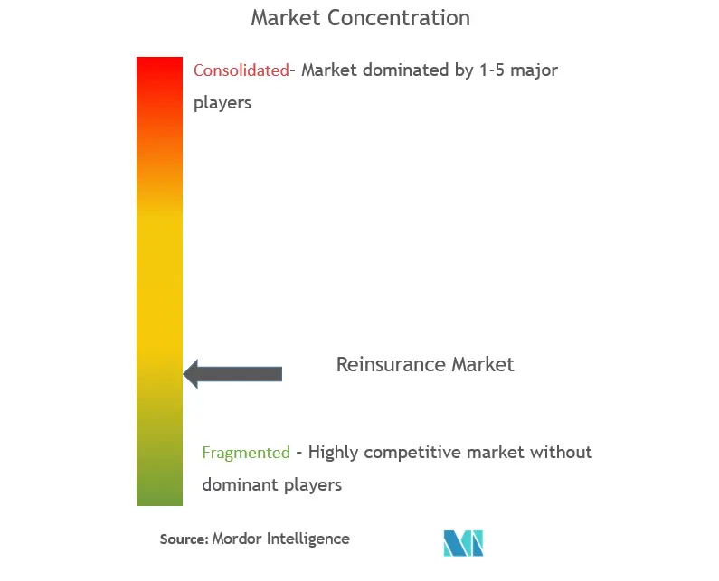 Reinsurance Market Concentration
