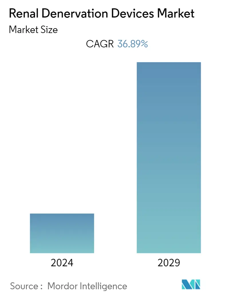 Renal Denervation Devices Market Summary