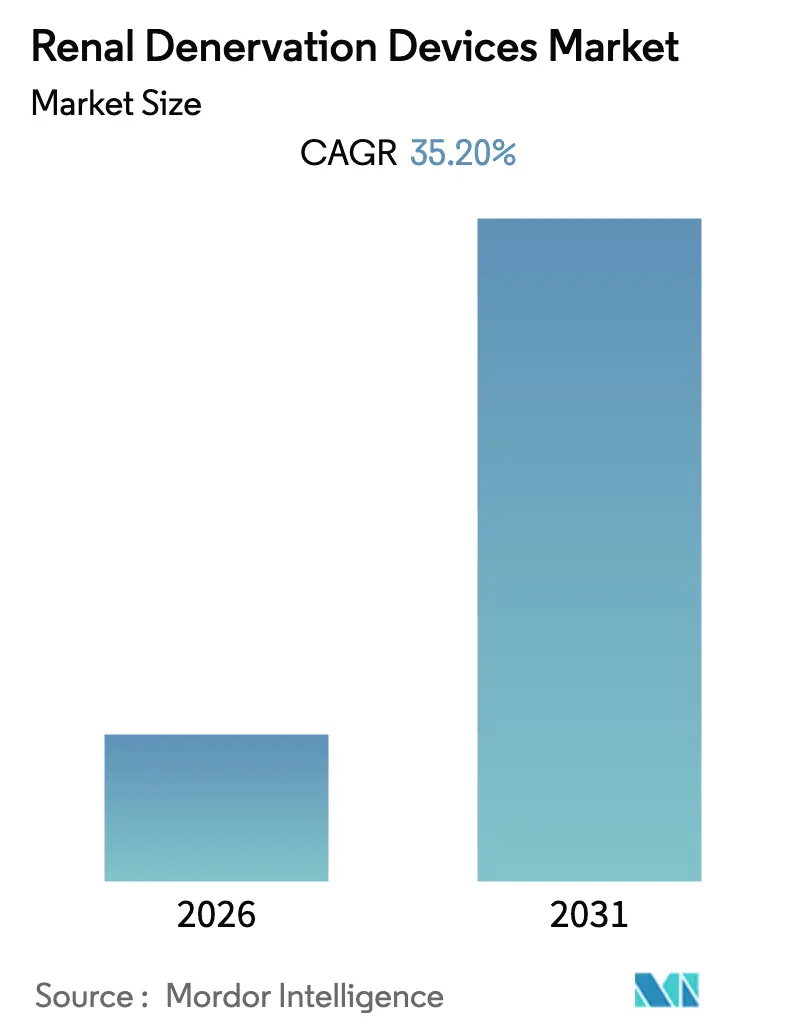 Renal Denervation Devices Market Summary