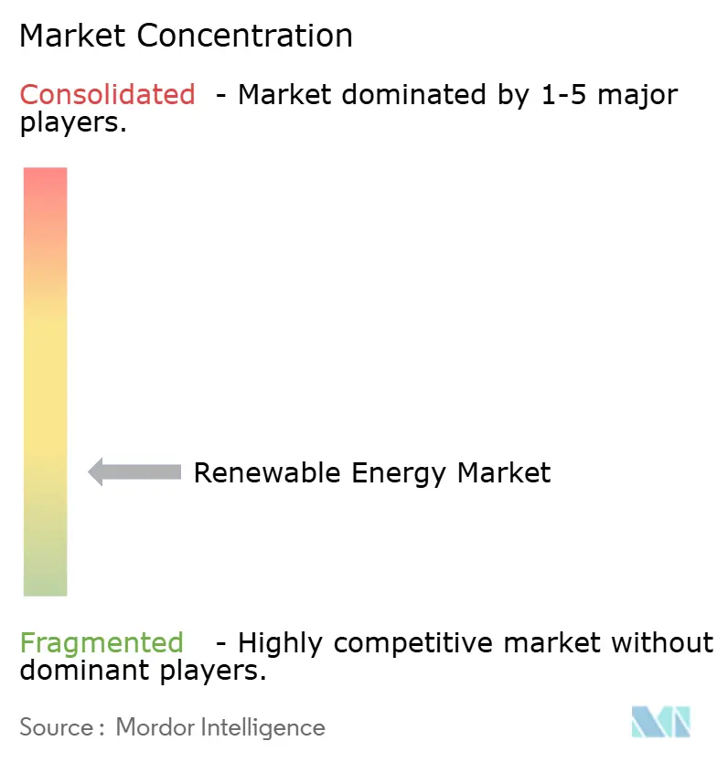 Renewable Energy Market Concentration