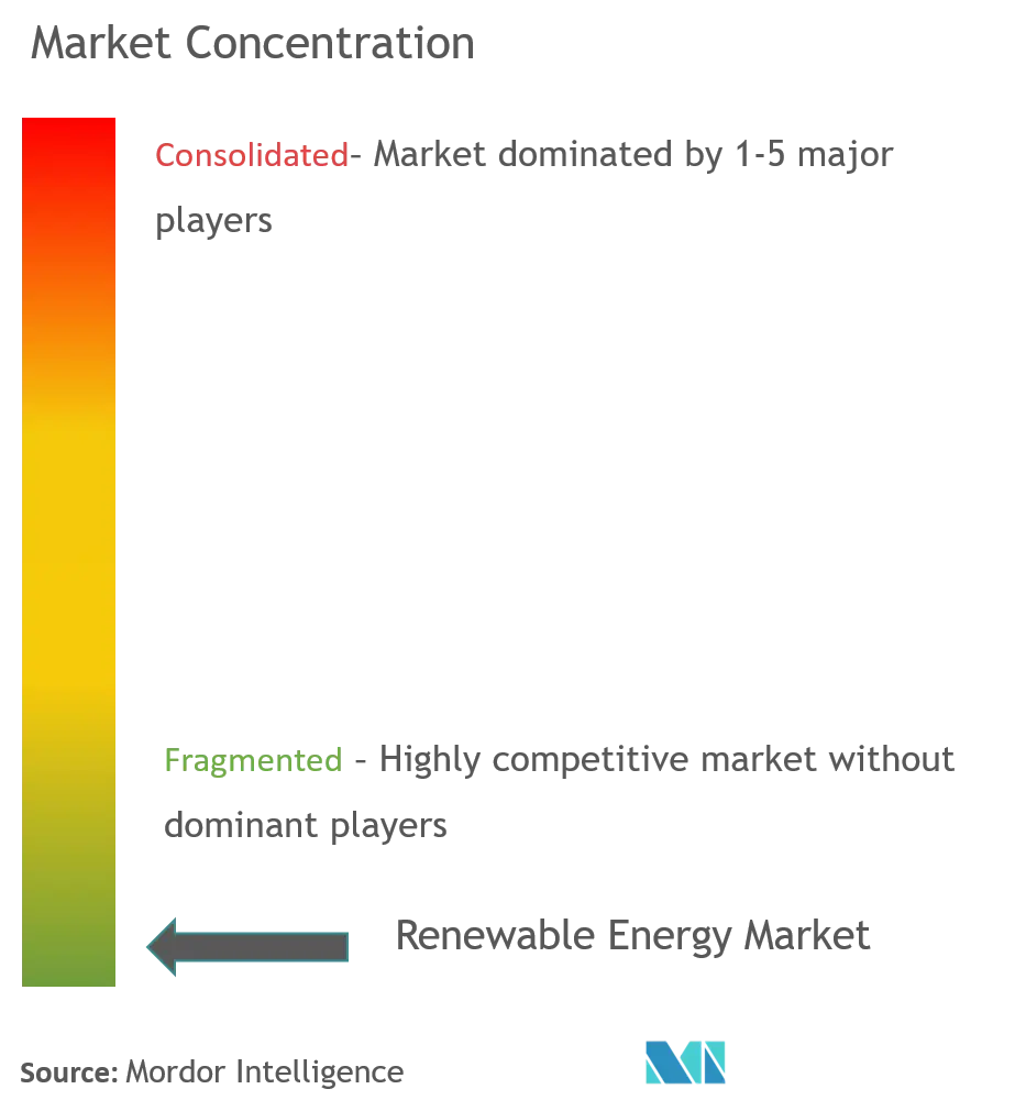 Renewable Energy Market Concentration