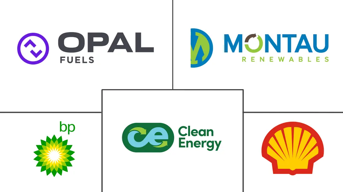 Major players in Renewable Natural Gas industry