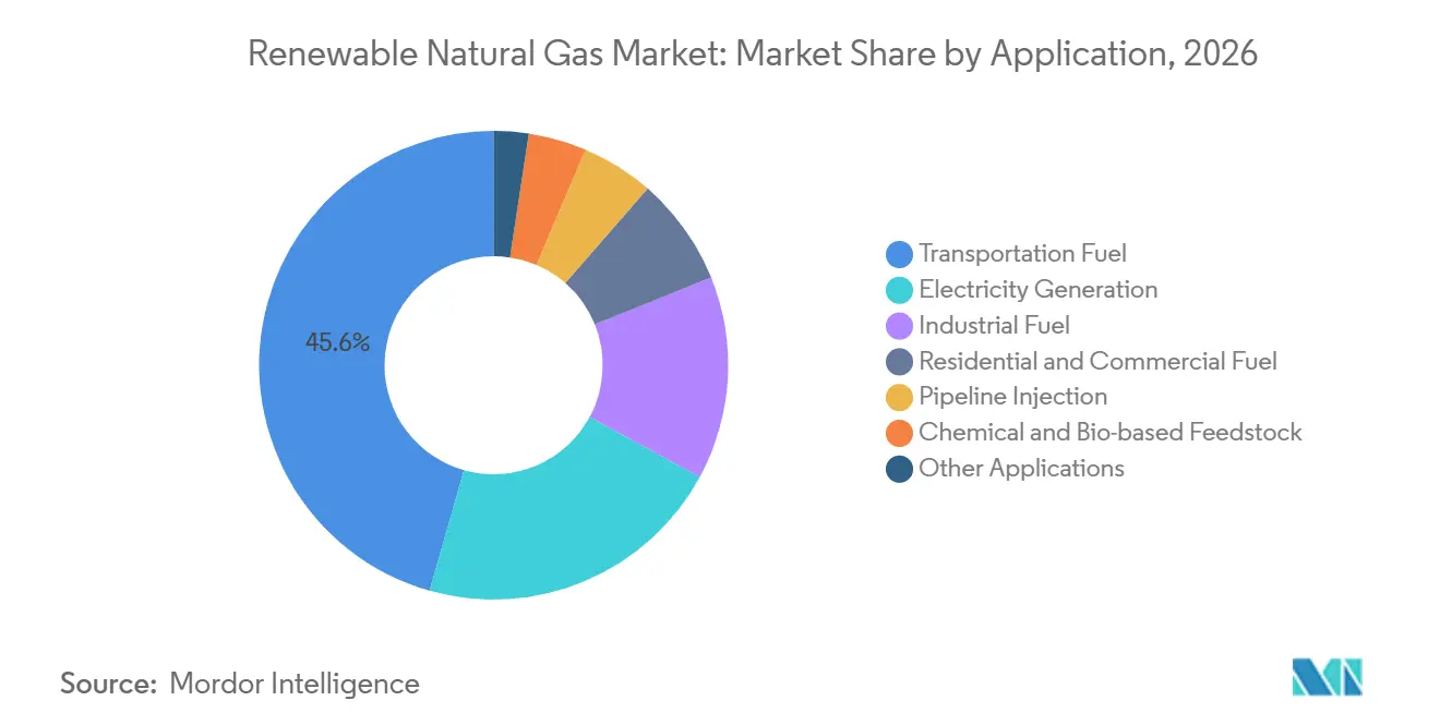 Renewable Natural Gas Market Share by Application, 2026