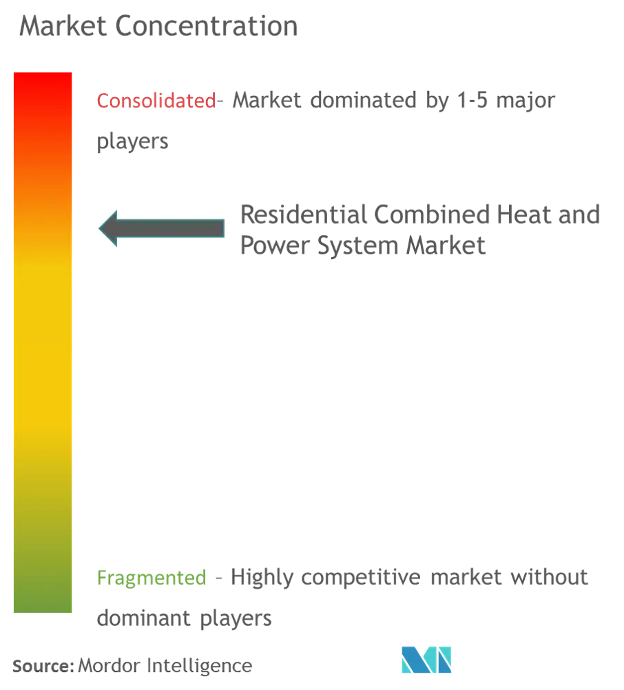 Residential Combined Heat & Power System Market Concentration