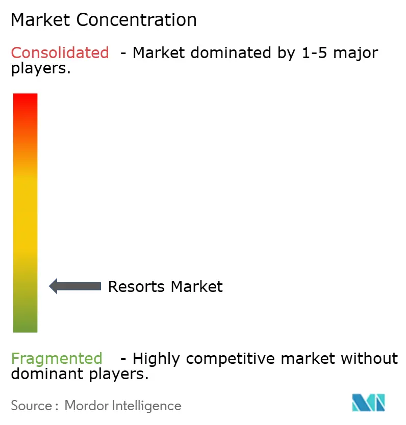 Resorts Market Concentration