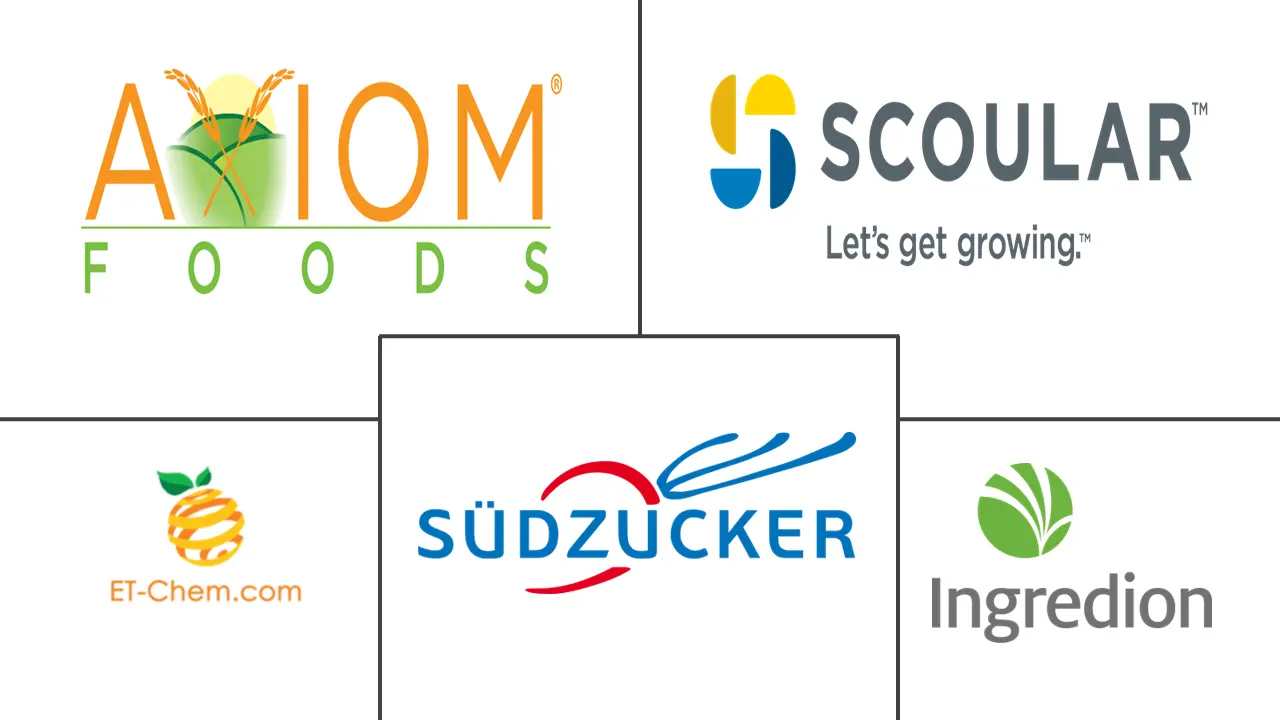 Major players in Rice Protein industry