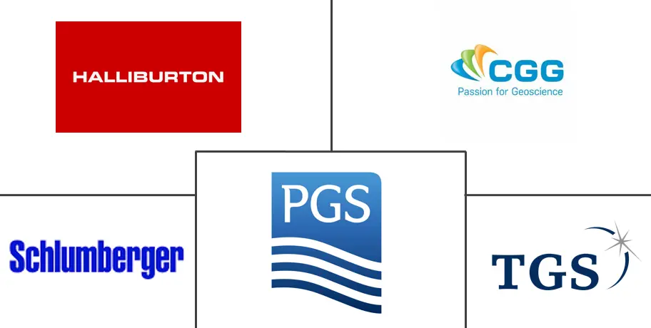 Principales actores del mercado de servicios sísmicos