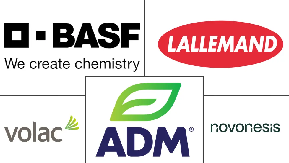 Logotipo de empresas relacionadas