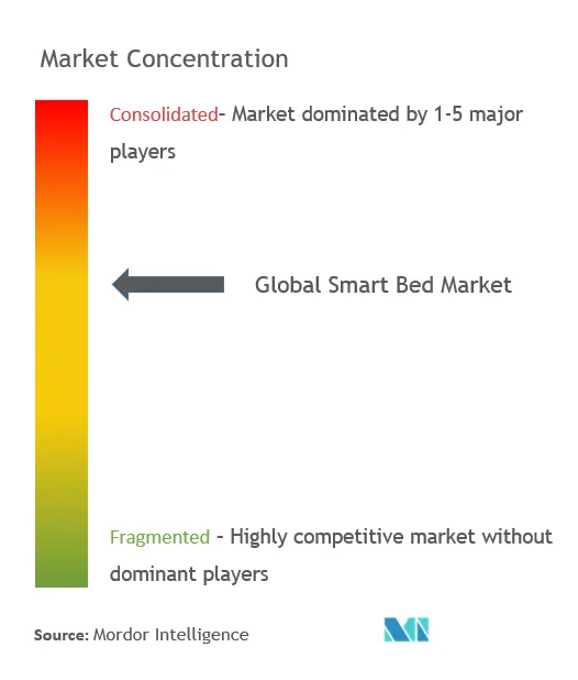Smart Bed Market Concentration