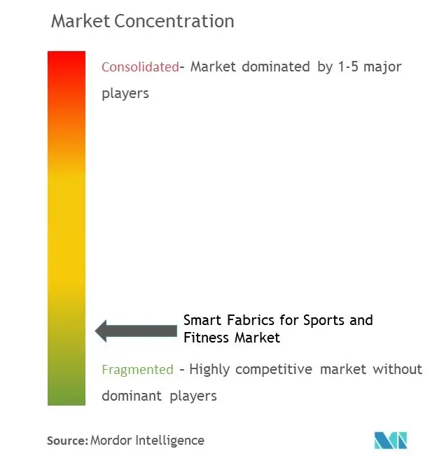 Smart Fabrics for Sports and Fitness Market Concentration