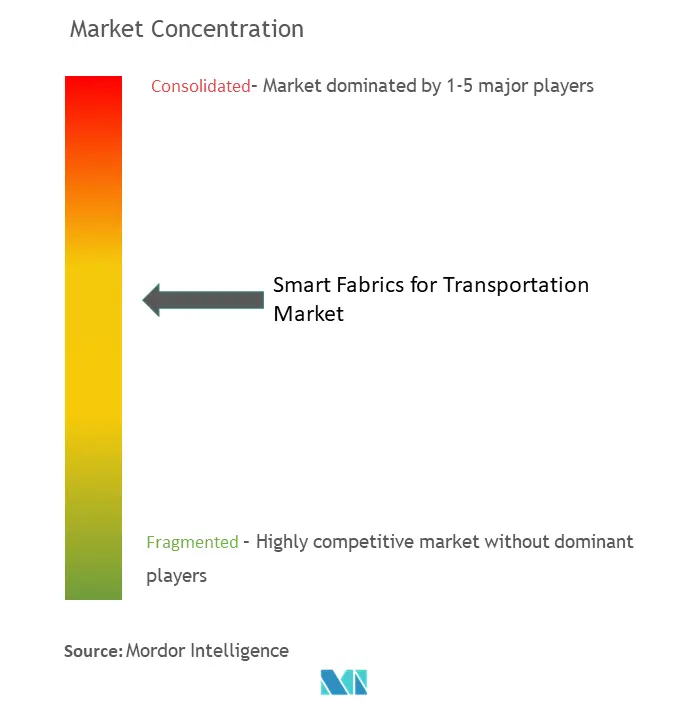 Concentración del mercado de tejidos inteligentes para el transporte