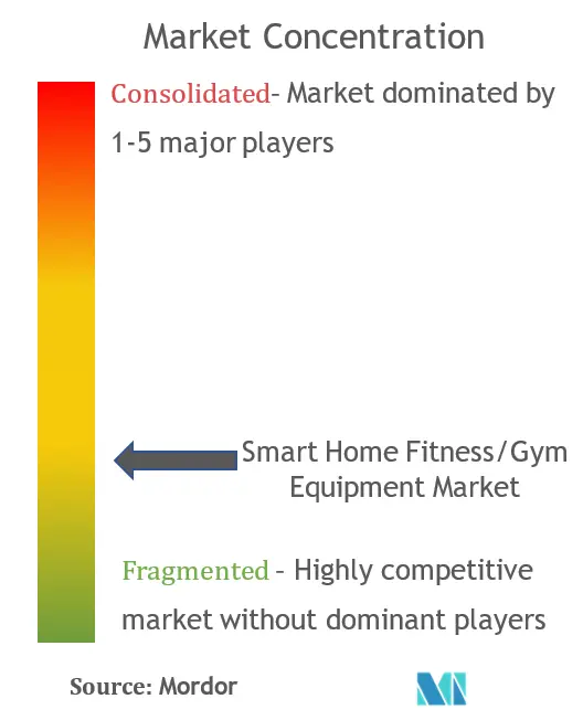 Smart Home Fitness/Gym Equipment Market Concentration