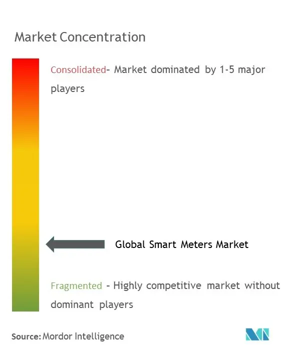 Smart Meters Market Concentration