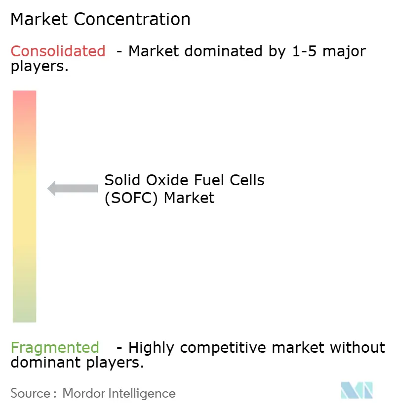 Solid Oxide Fuel Cells Market Concentration