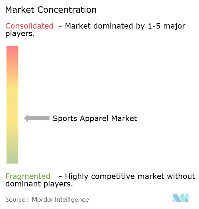 Sports Apparel Market Concentration