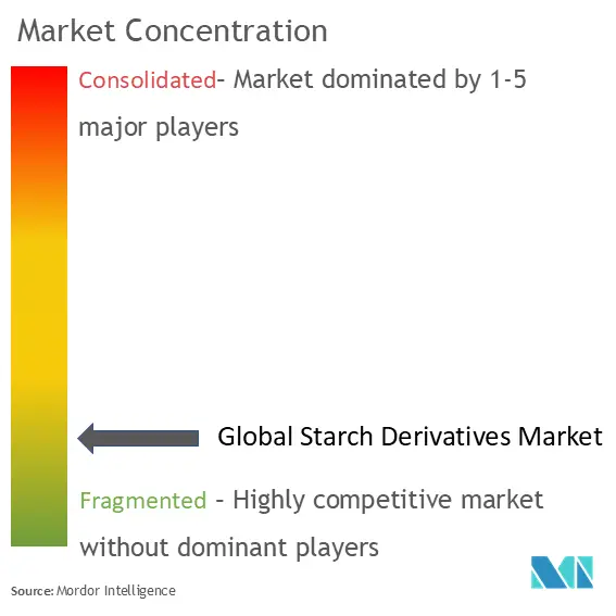 Starch Derivatives Market Concentration