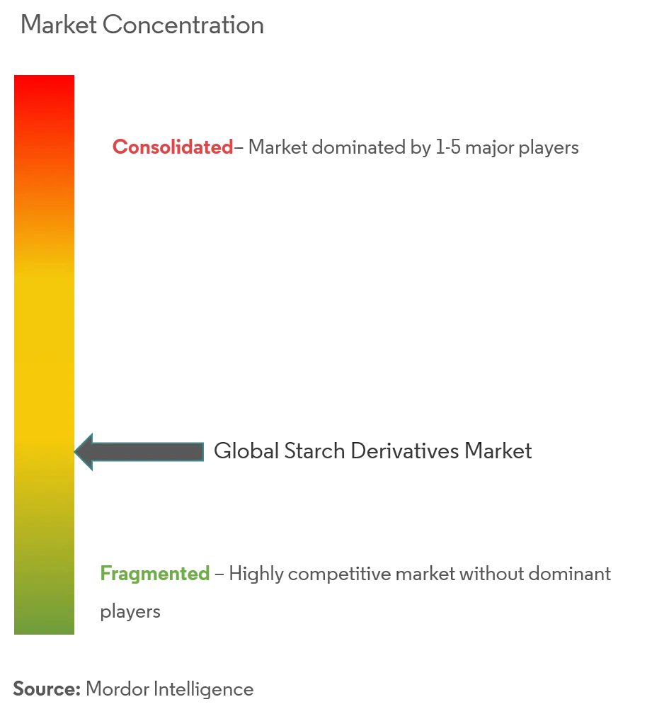 Starch Derivatives Market Concentration