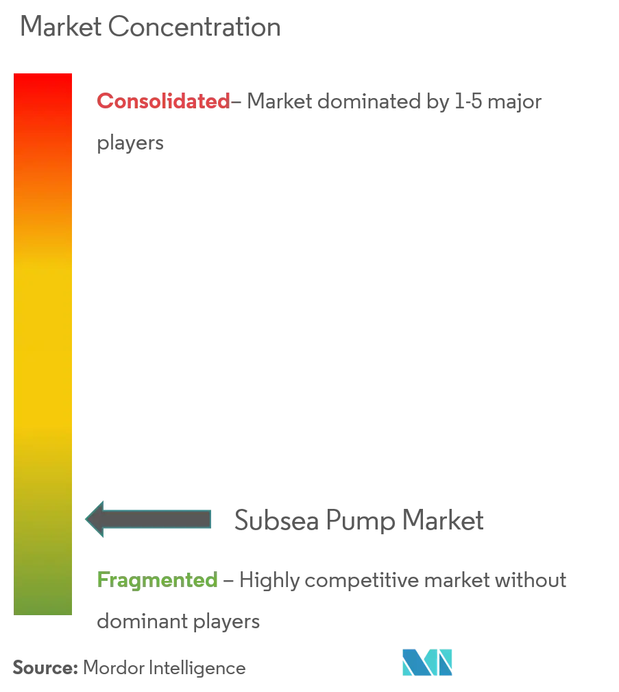 Subsea Pump Market Concentration