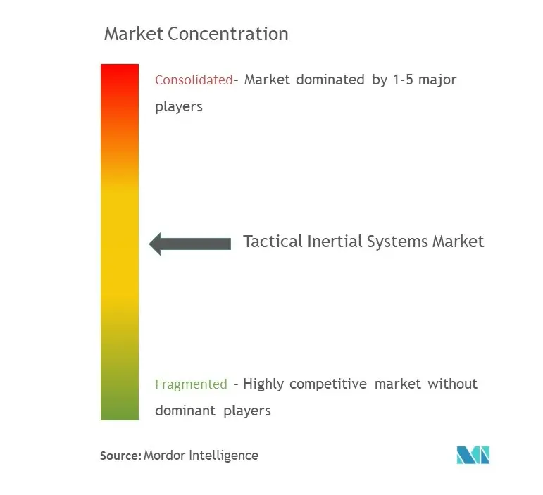 Sistemas inerciales tácticos Uso del mercado.jpg