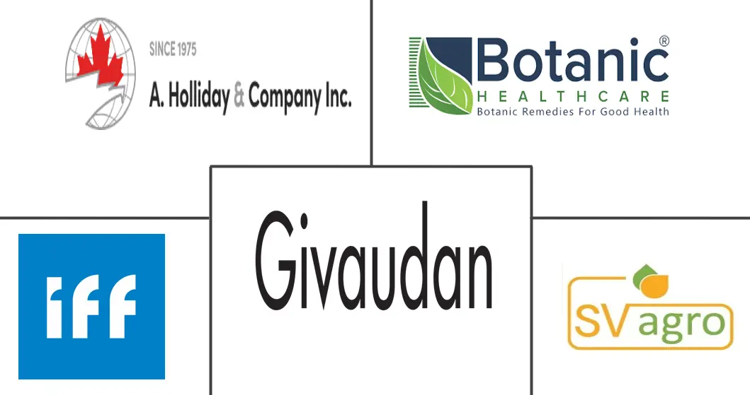 Related Companies Logo