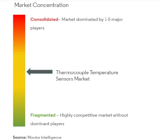 Globale Thermoelement-TemperatursensorenMarktkonzentration