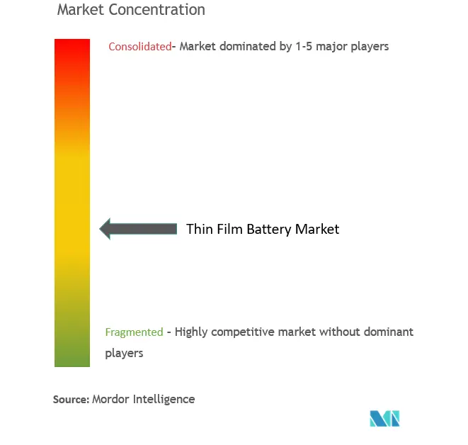 Thin Film Battery Market Concentration