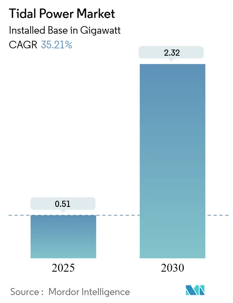 Tidal Power Market (2025 - 2030)