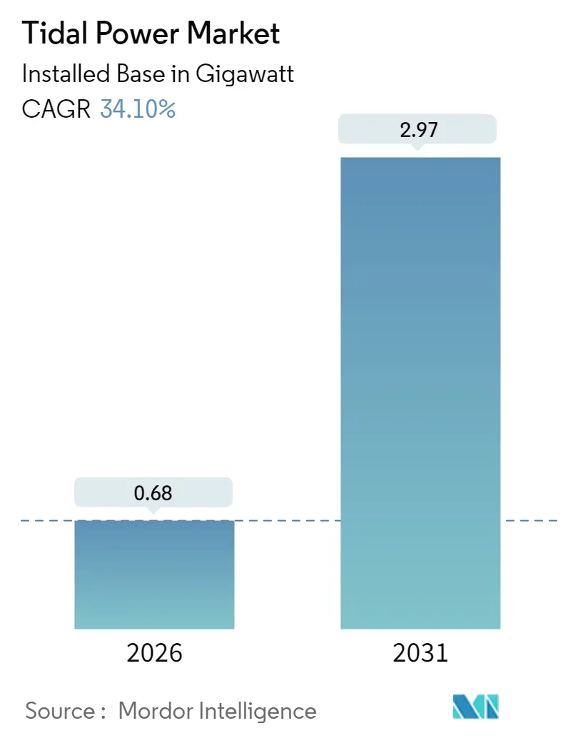 Tidal Power Market (2025 - 2030)