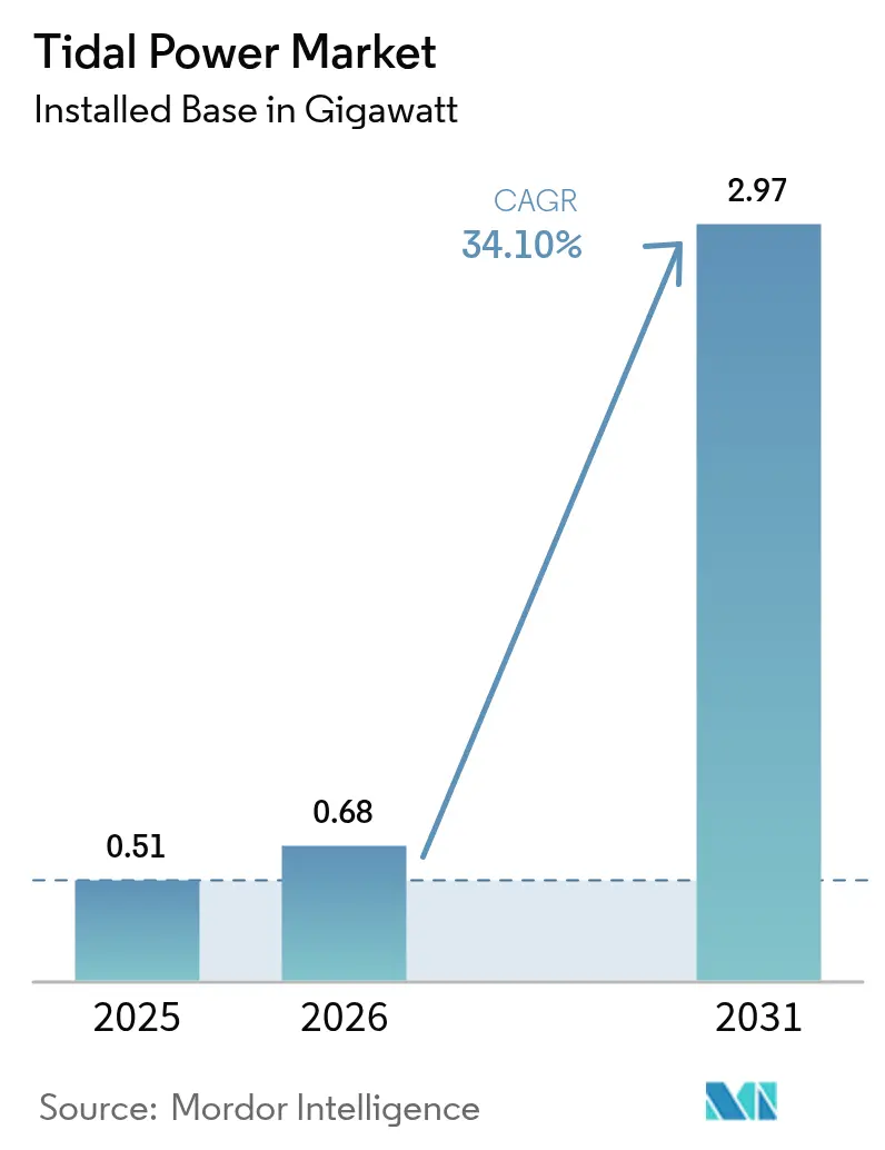 Tidal Power Market (2025 - 2030)
