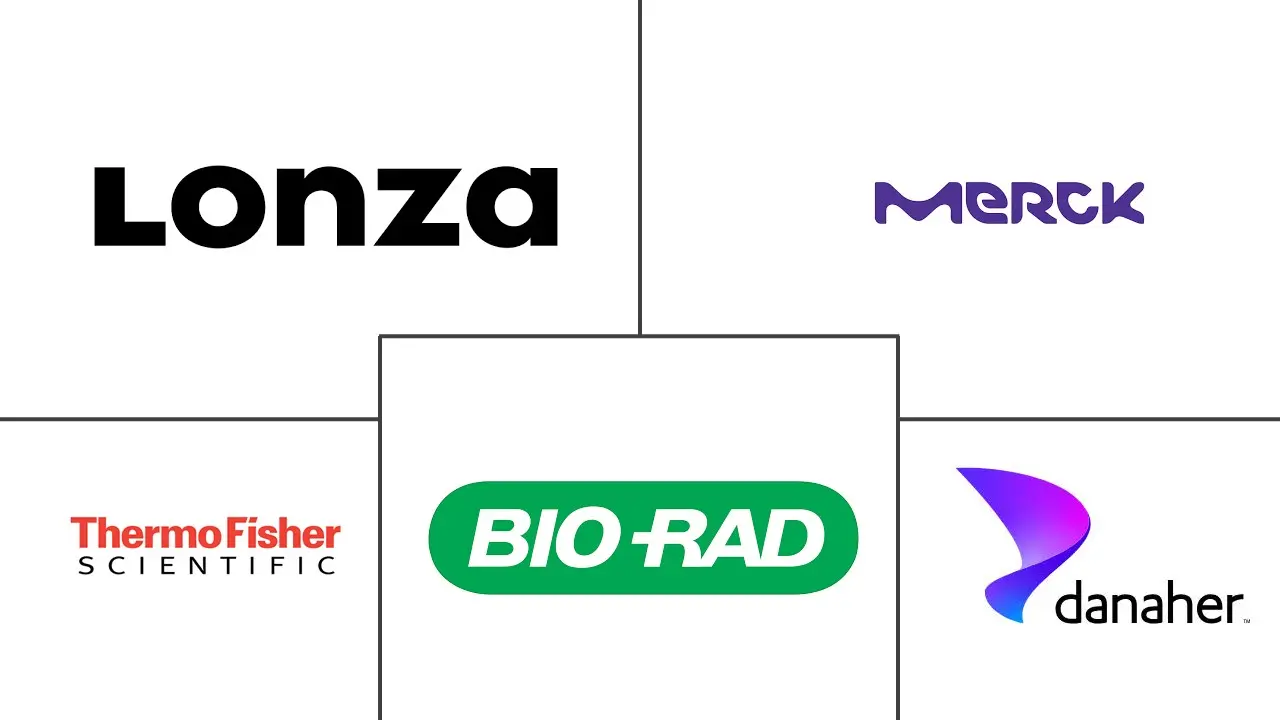 Related Companies Logo