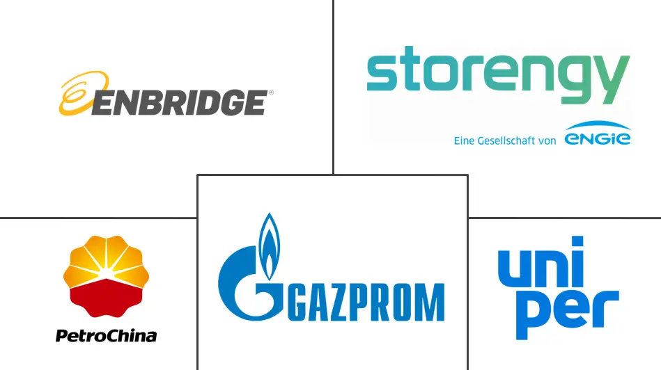 Major players in Underground Gas Storage industry